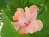 thanniversaryreunionandcruise201231_small.jpg